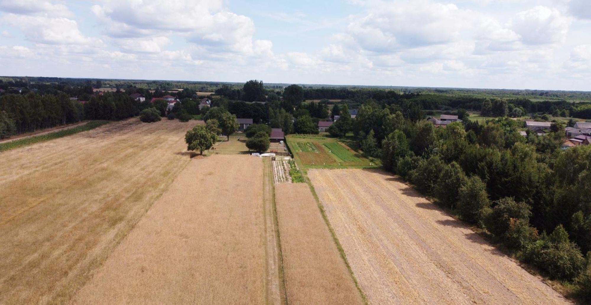 Agroturystyka Kraina Jezior Ludwin Extérieur photo
