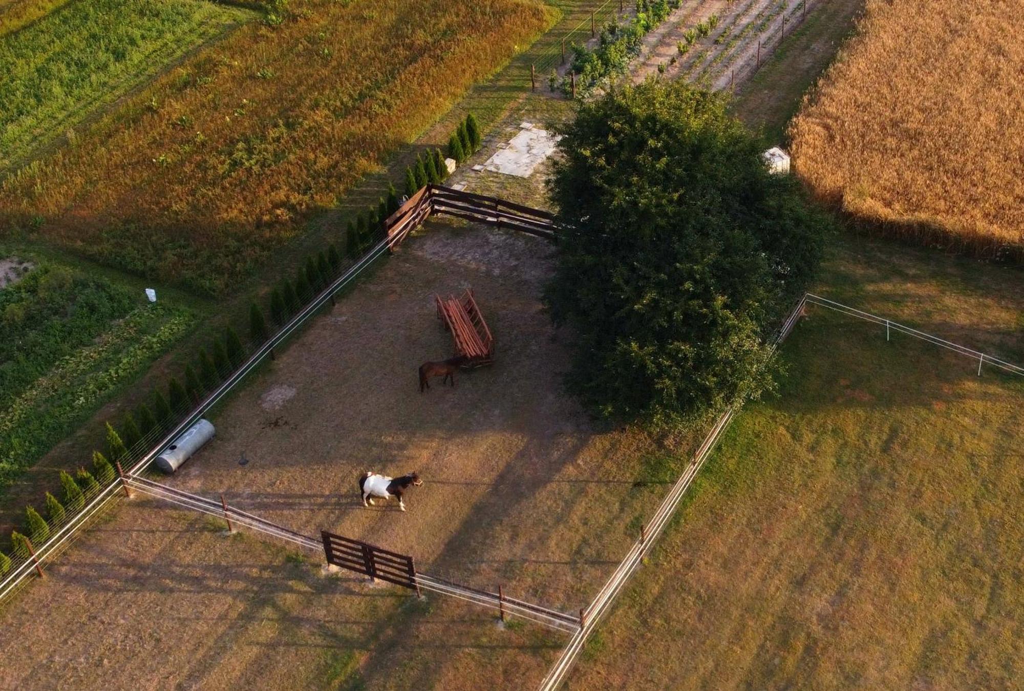 Agroturystyka Kraina Jezior Ludwin Extérieur photo